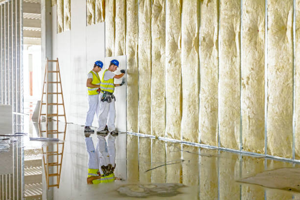 Professional Insulation Contractor in Herscher, IL
